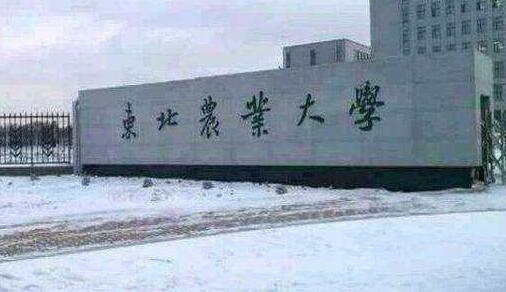 東北農(nóng)業(yè)大學成人教育學院招生公告2023年