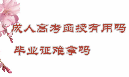 成人高考函授學(xué)歷有用嗎