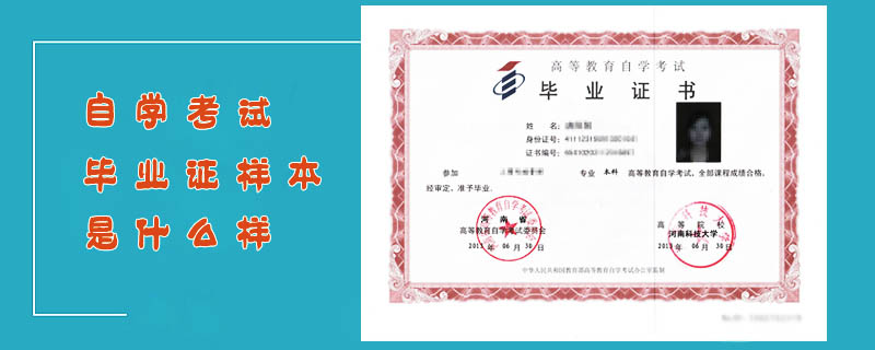 自學(xué)考試畢業(yè)證樣本是什么樣