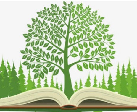 下列小說作品中，構(gòu)思視角獨到，以小見大的有(　)__自考《大學(xué)語文》真題