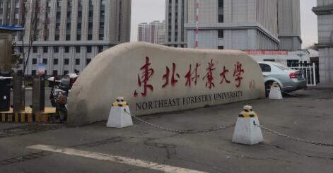 東北林業(yè)大學(xué)成人教育學(xué)院招生專業(yè)【最新】