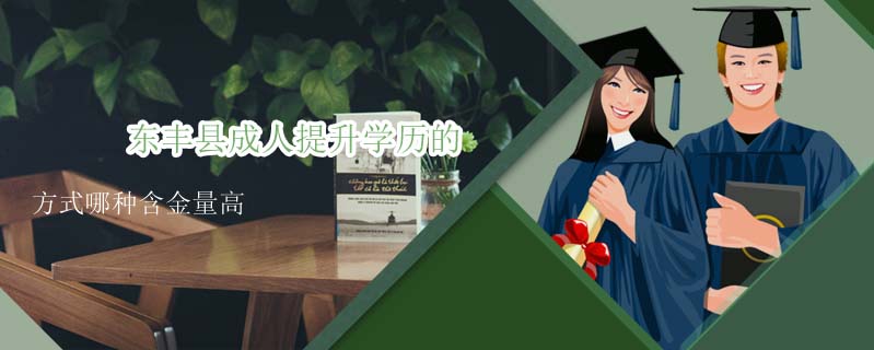 東豐縣成人提升學(xué)歷的方式哪種含金量高