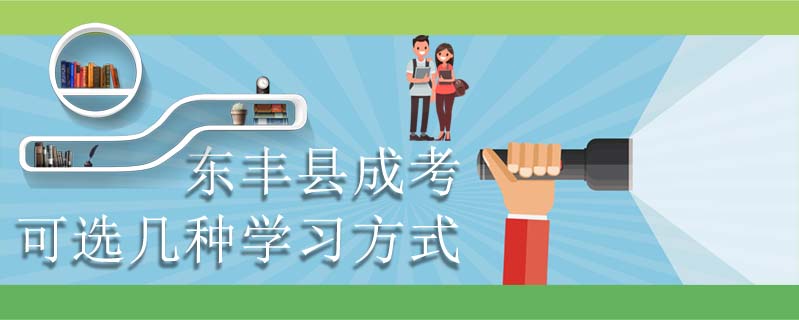 東豐縣成考可選幾種學習方式