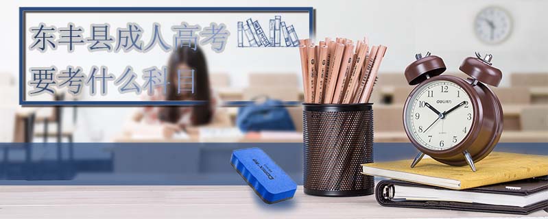 東豐縣成人高考要考什么科目