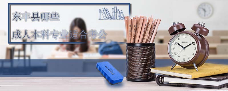 東豐縣哪些成人本科專業(yè)適合考公