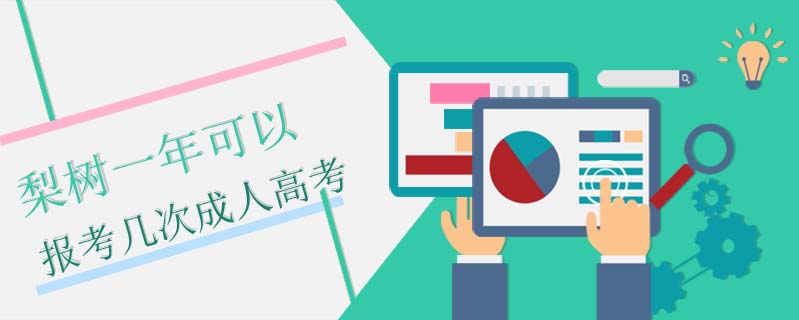梨樹一年可以報(bào)考幾次成人高考