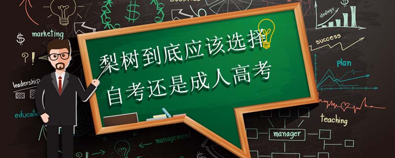 梨樹到底應該選擇自考還是成人高考